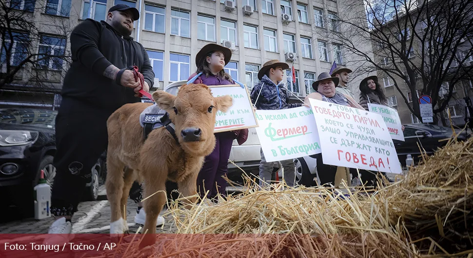 bugarska protest.webp